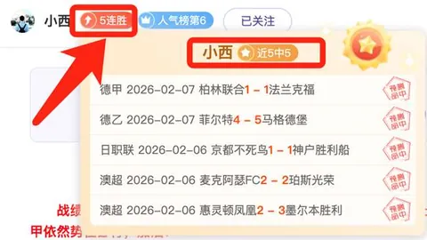辛纳澳网男单决赛三战兹维列夫，卫冕成功