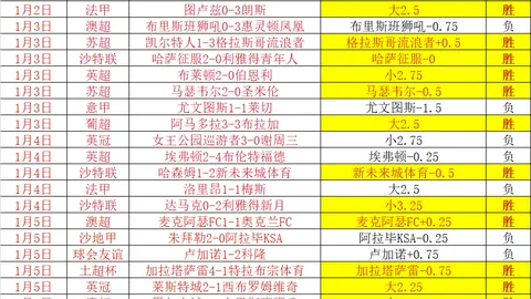 热刺高层困境归咎列维，列维未予评论